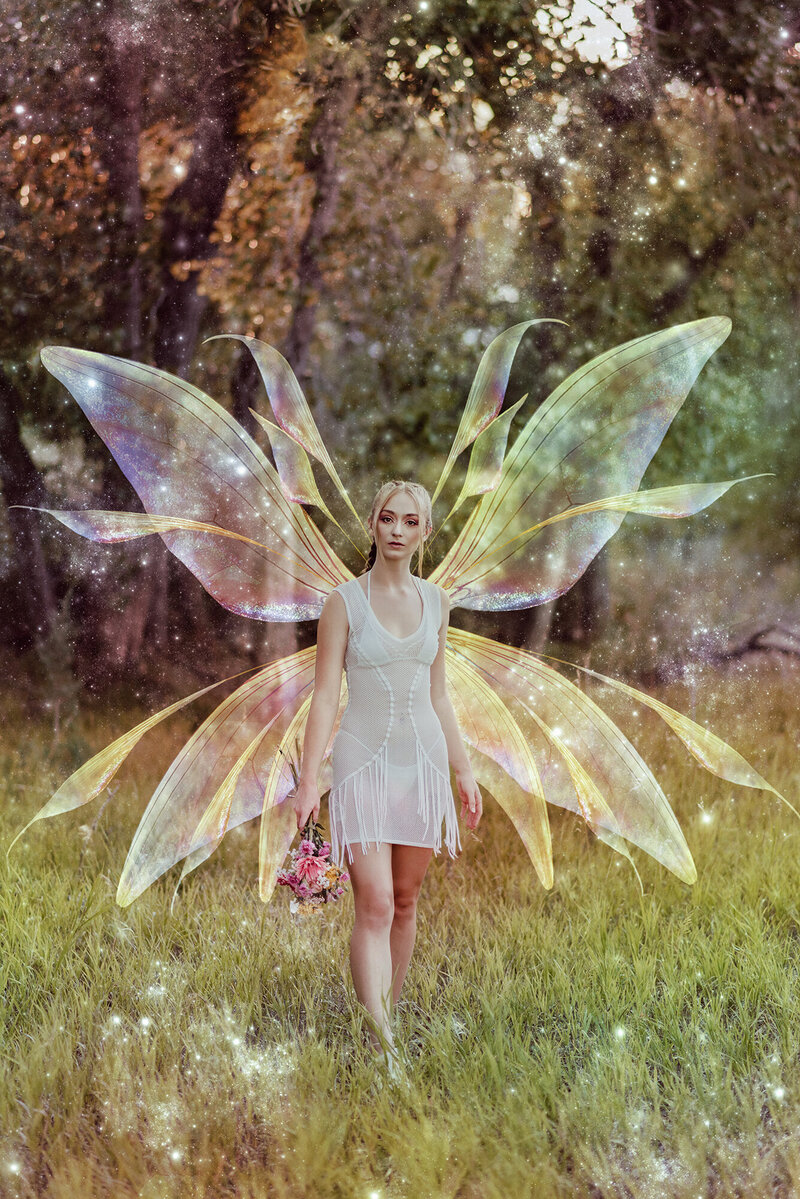 RachelFairy5