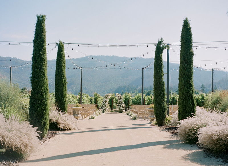 A scenic pathway at Tre Posti venue lined with cypress trees and string lights in Napa Valley.