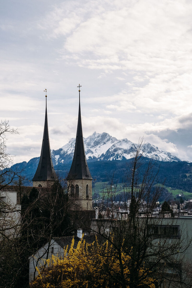 mount pilatus with church steeples and flowers in foreground