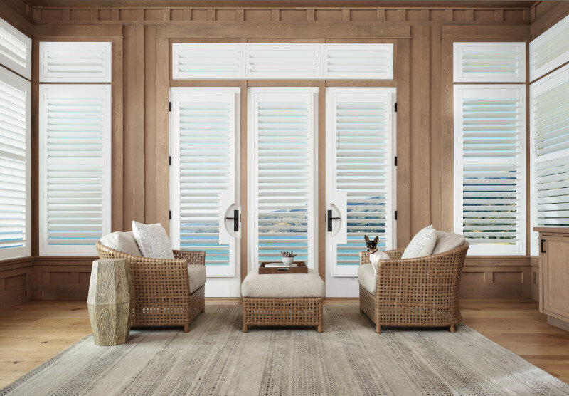 Living room french door shutters