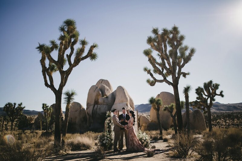 Couple & their officiant during an elopement ceremony between Joshua Trees in Joshua Tree National Park!