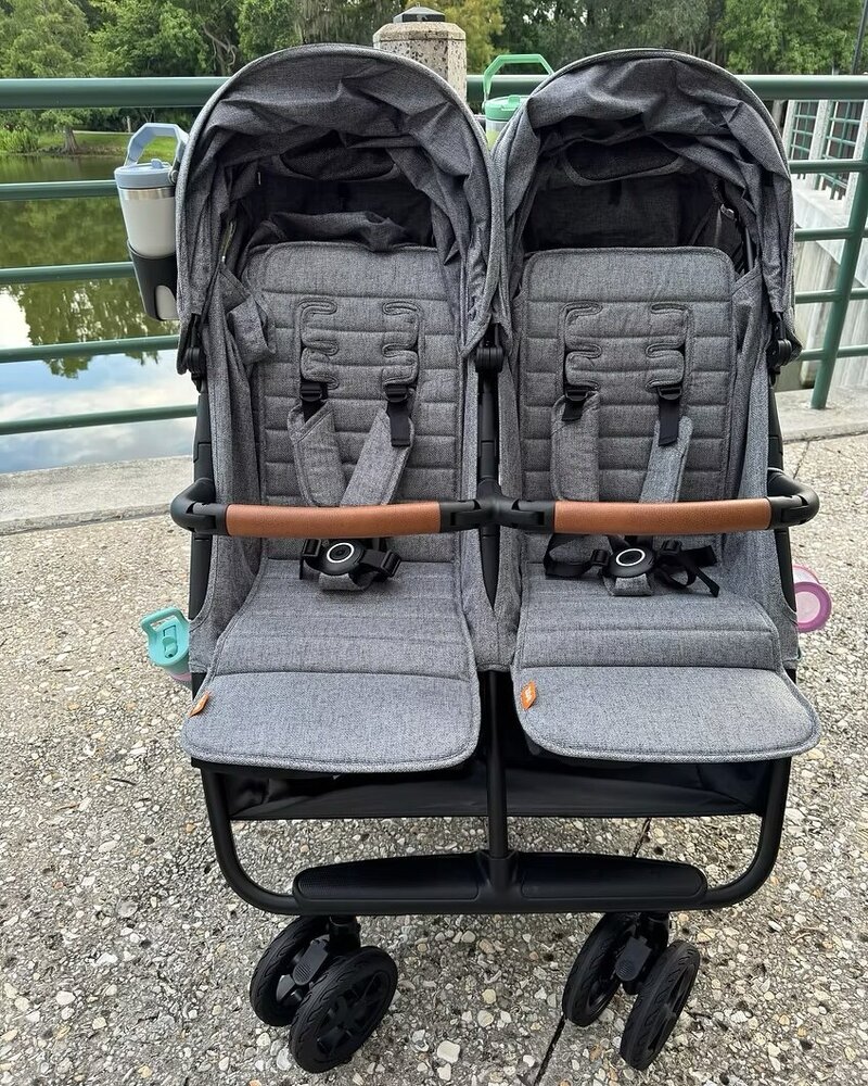 Safe, Private Disney Transportation & Stroller Rentals for Families ...