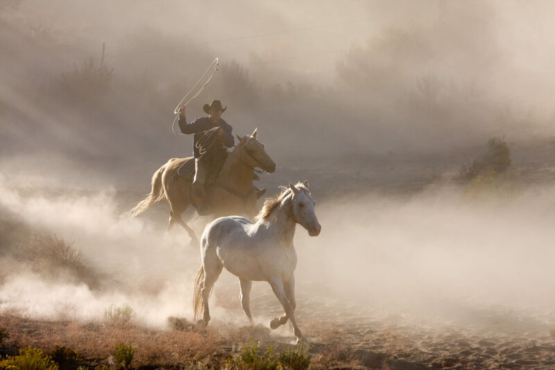 wenatchee-horse-photographer-yellowstone-horse-photos (104)