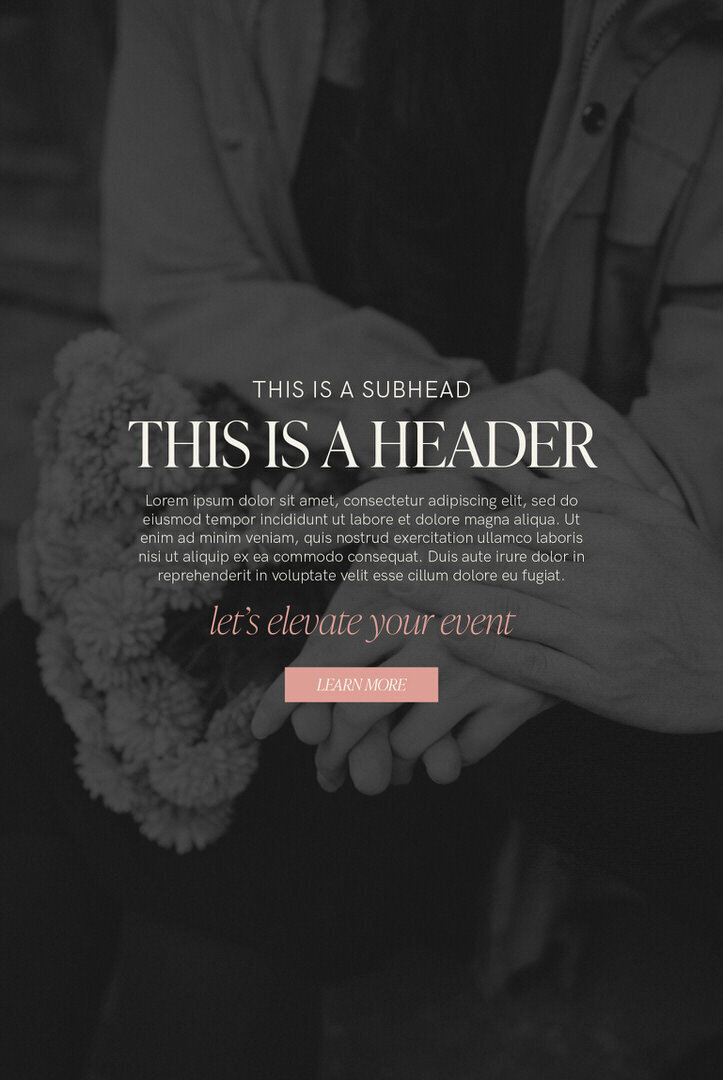 vfe_brandidentity-02