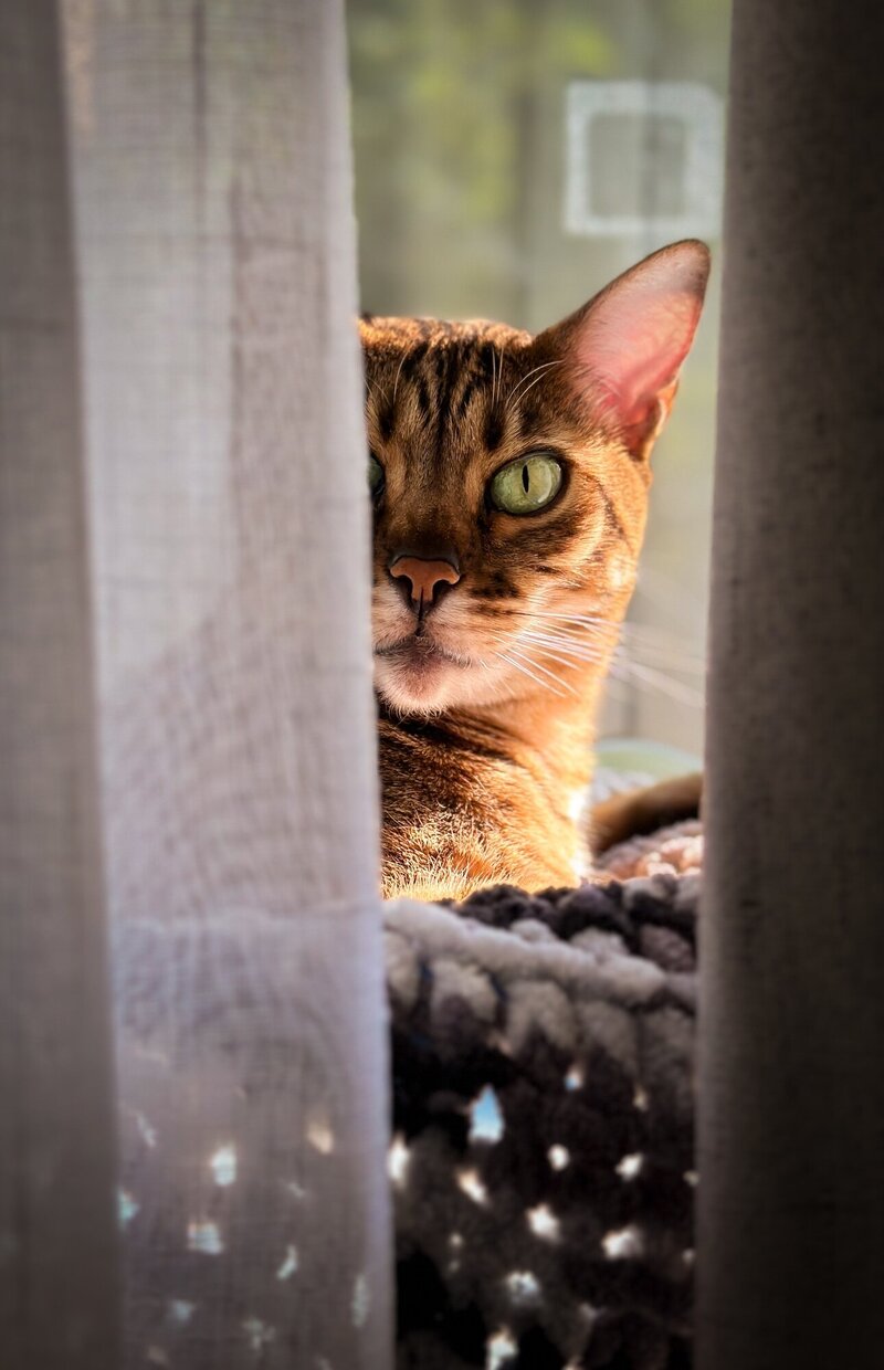 Travel Lifestyle hospitality photographer38