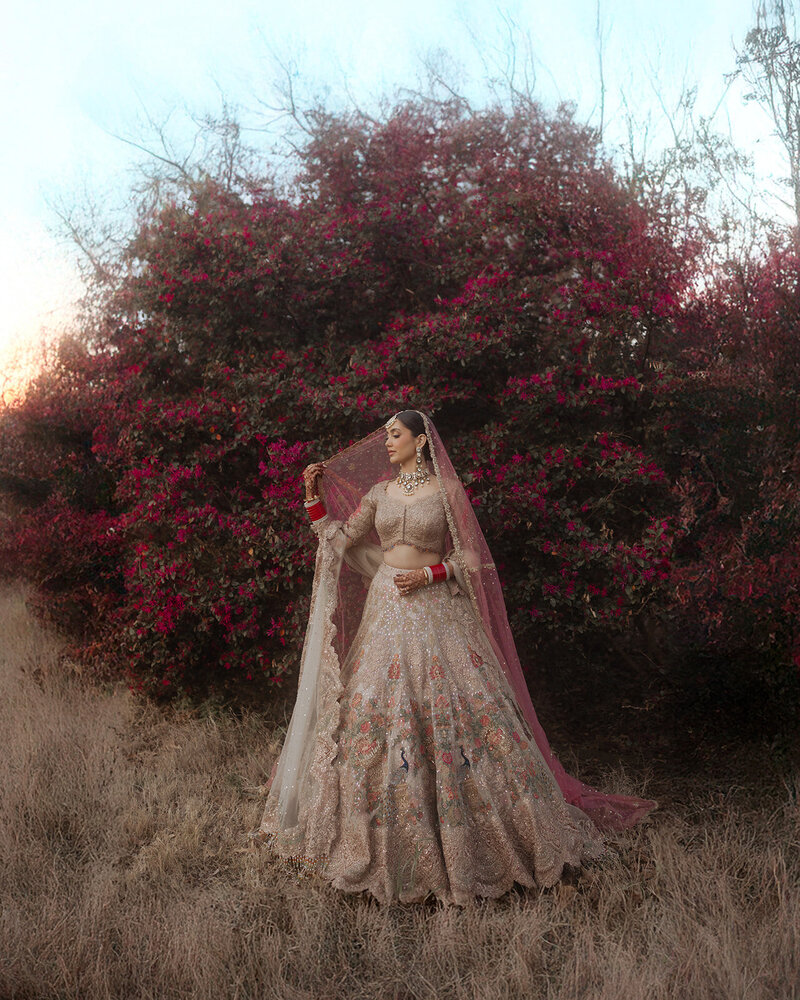 S + B NO AI_WeddingR5_S1153-standard-scale-0_50x