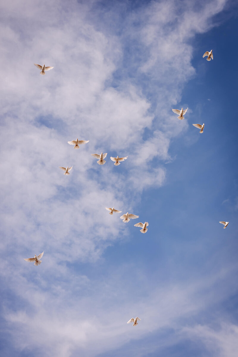 792656125-tash-paul-laraarnott-may-25-2024-20