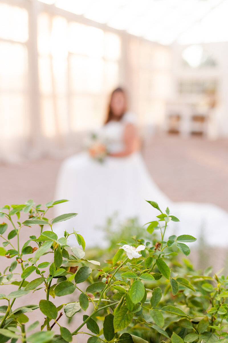 Fleurish Greenhouse Taylorsville, NC Bridal Session_Katelyn Shelley Photography (39)