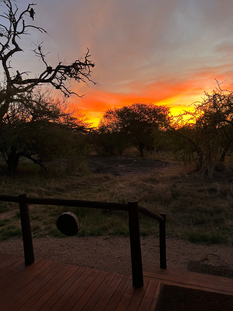 Serengeti(3)