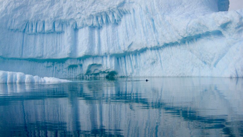 Relentlessly Me Self-Fulfillment Coaching Antarctica 7