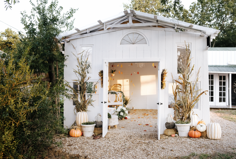GreenhousePumpkinMini