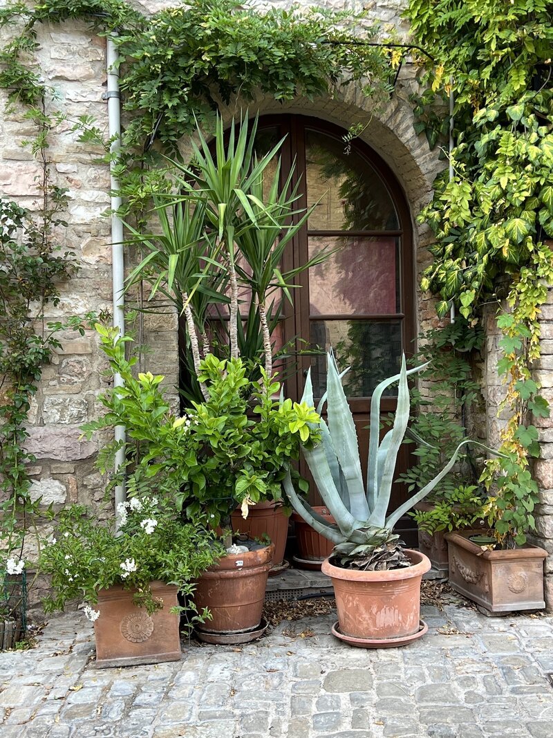 doorway in Assisi