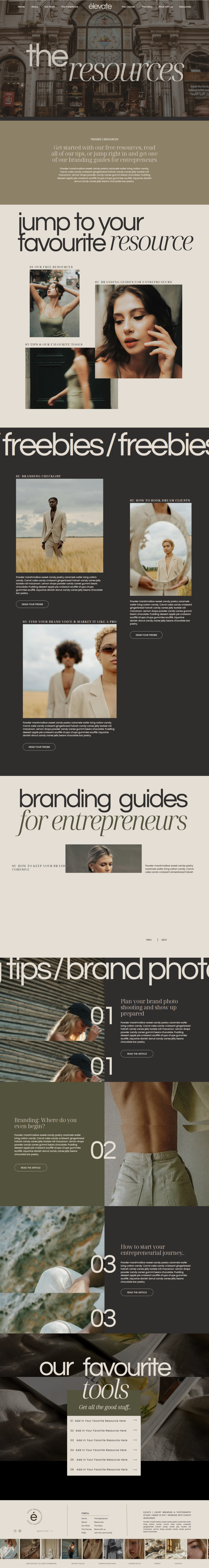 Portfolio project five brand and website mockup4