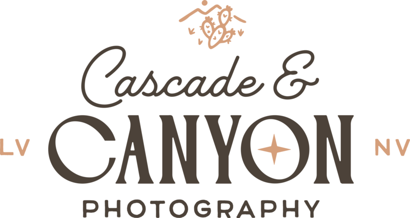 las vegas wedding photographer / cascade and canyon photography