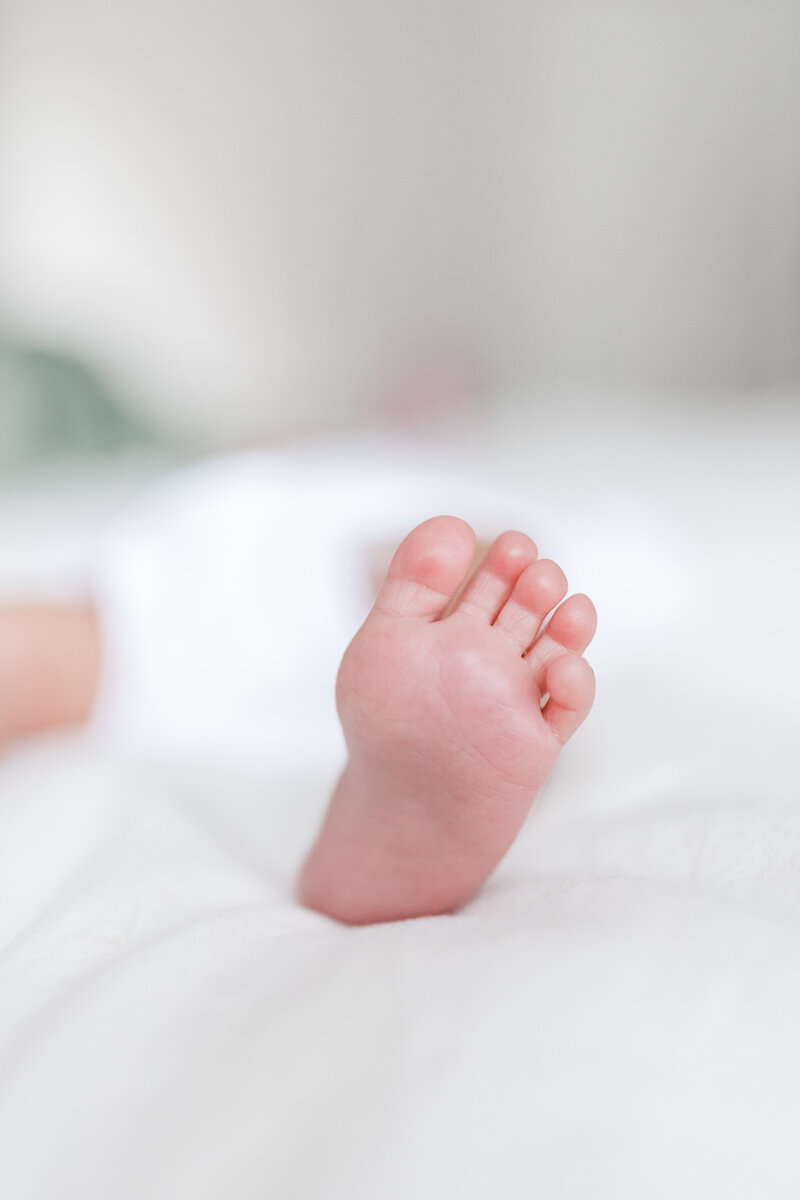 gingerandblu-newborn-allen-2024-11