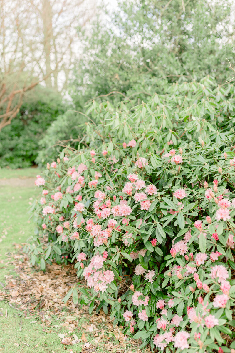 Roseberry-House-Wedding-JCP_5590