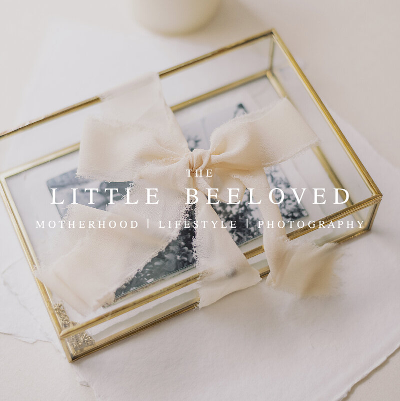 Little BeeLoved Brand Launch-10