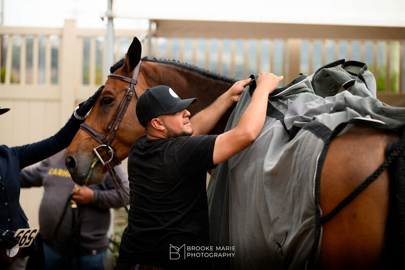 CHEROKEESHOWHORSES-2024DELMAR-SUNSHINECLASSIC-8147