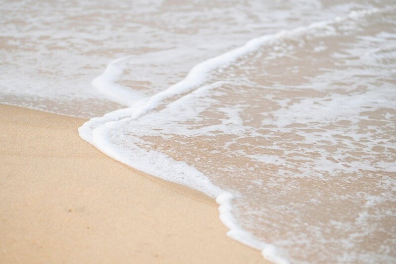 Marketing + business strategy training
built for travel agents ready to book more clients.