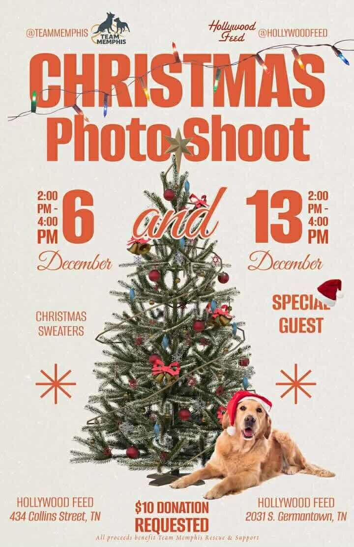 574394620_1662409721810647_4299274352581021772_n