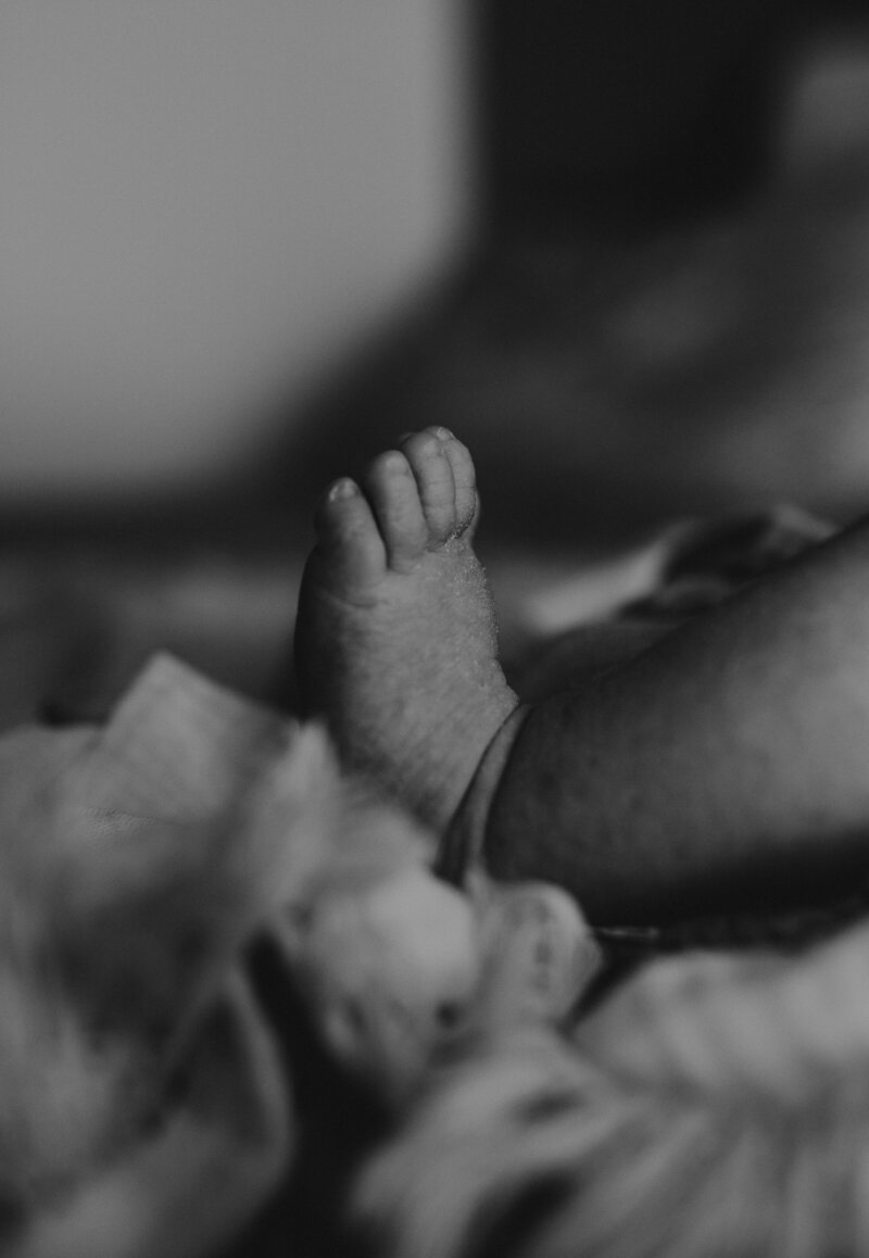 rex newborn4