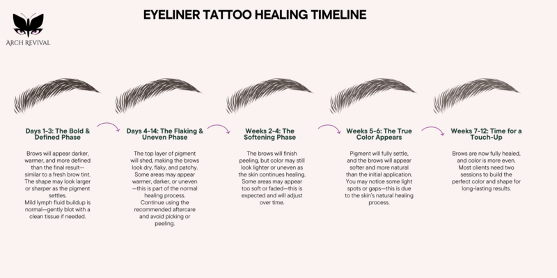 Microblading & powder brows healing timeline - before, during, and after healing process with key aftercare tips for best results.