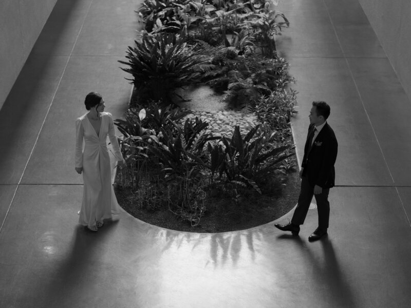 Black and white photo of couple by plants at Marin Civic Center.