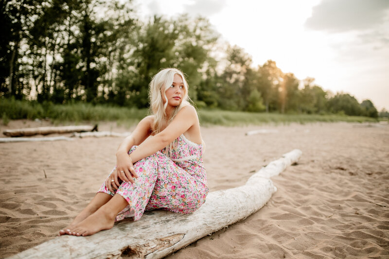 A Minnesota senior girl sits on a piece of driftwood on the beach, gazing towards the lake at sunset.