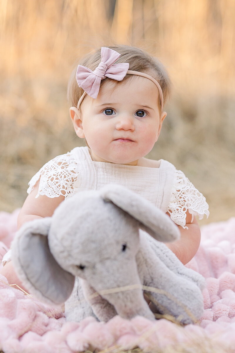 one-year-old-baby-girl-with-elephan-stuffed-animal-on-pink-blanket-outside-in-a-golden-field