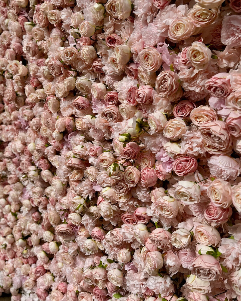 boxwood backdrop wall