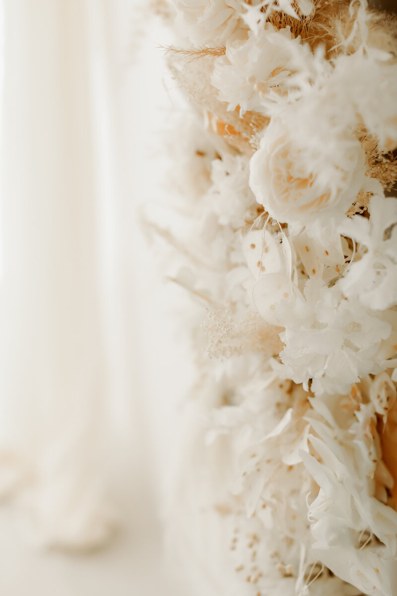 153A8063studio
