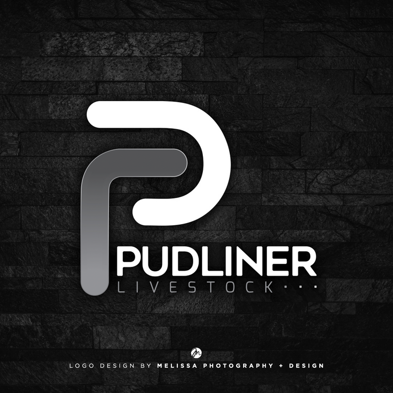 Logo-Design-Social-Pudliner
