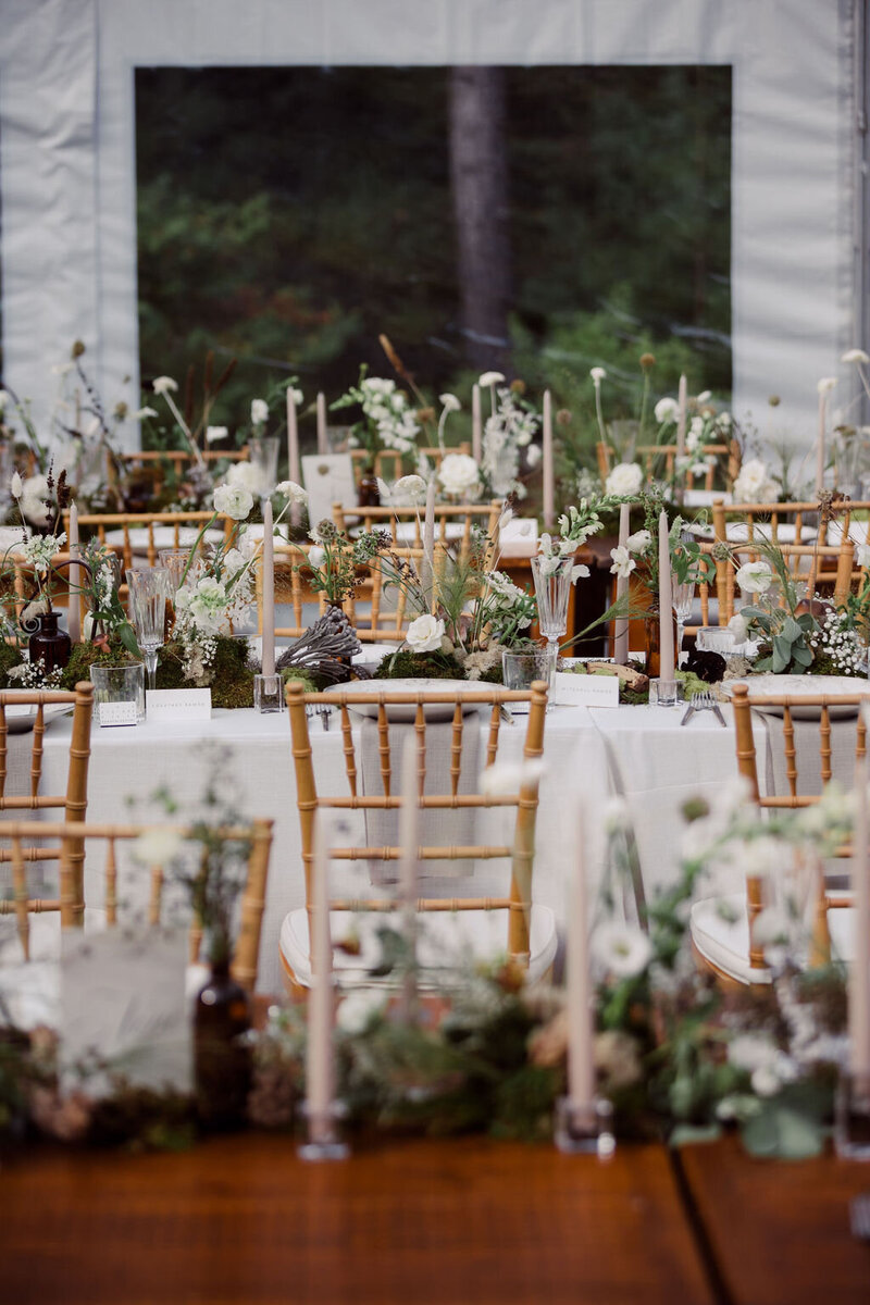 Shelby_Sam(329of843)