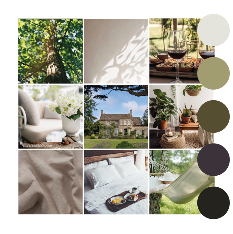 moodboard ombre des arbres portfolio herbier graphique