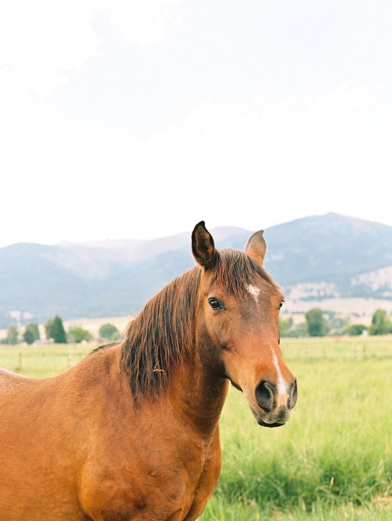 kelseycowley_montanawedding_0074