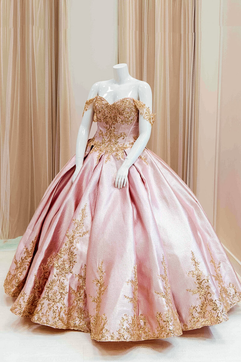 Kadence-Embroidered-Ball-Gown-in-Blush-Pink (3)