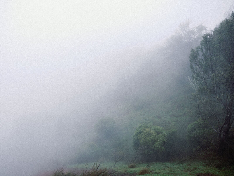 waimeacanyonelopement-17