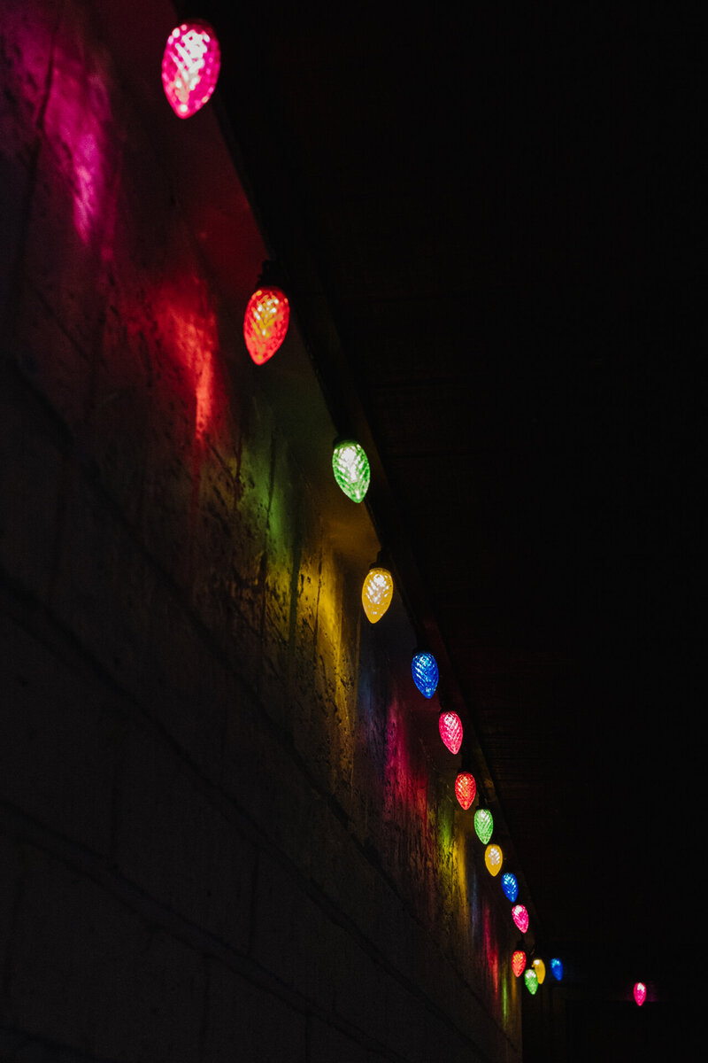 danielle-motif-christmas-lights-1
