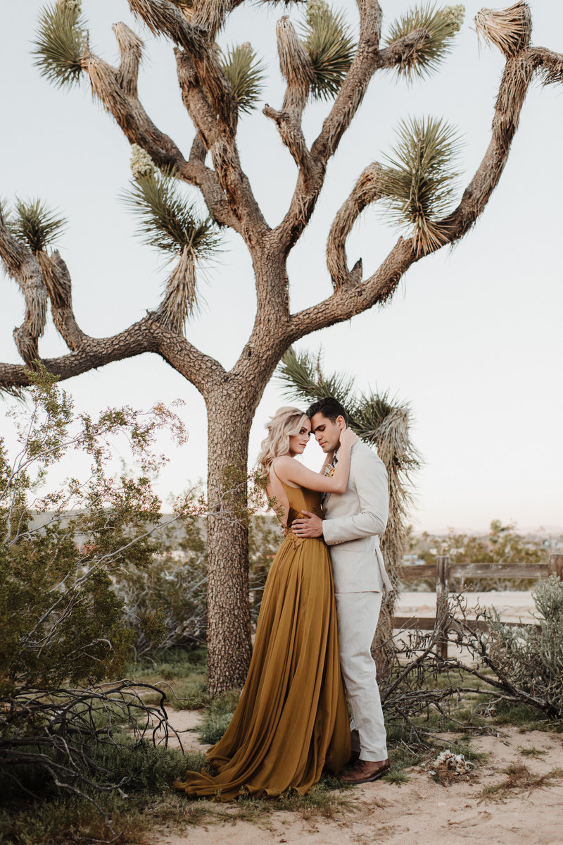 joshuatreeeditorial-250