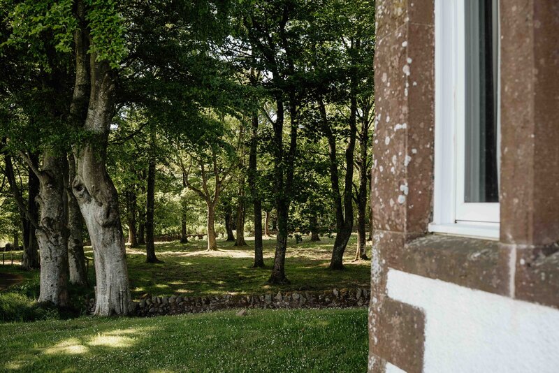 A wide photograph of the forest at Kinclune House wedding venue in Angus.