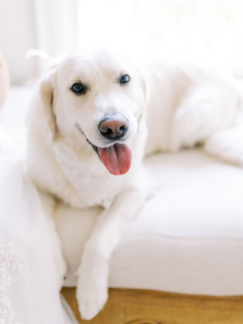 CaleighAnnPhotography_DaniBridals-431