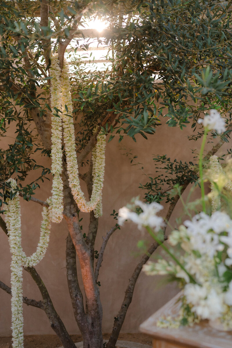 H&J-2024-Wedding-681