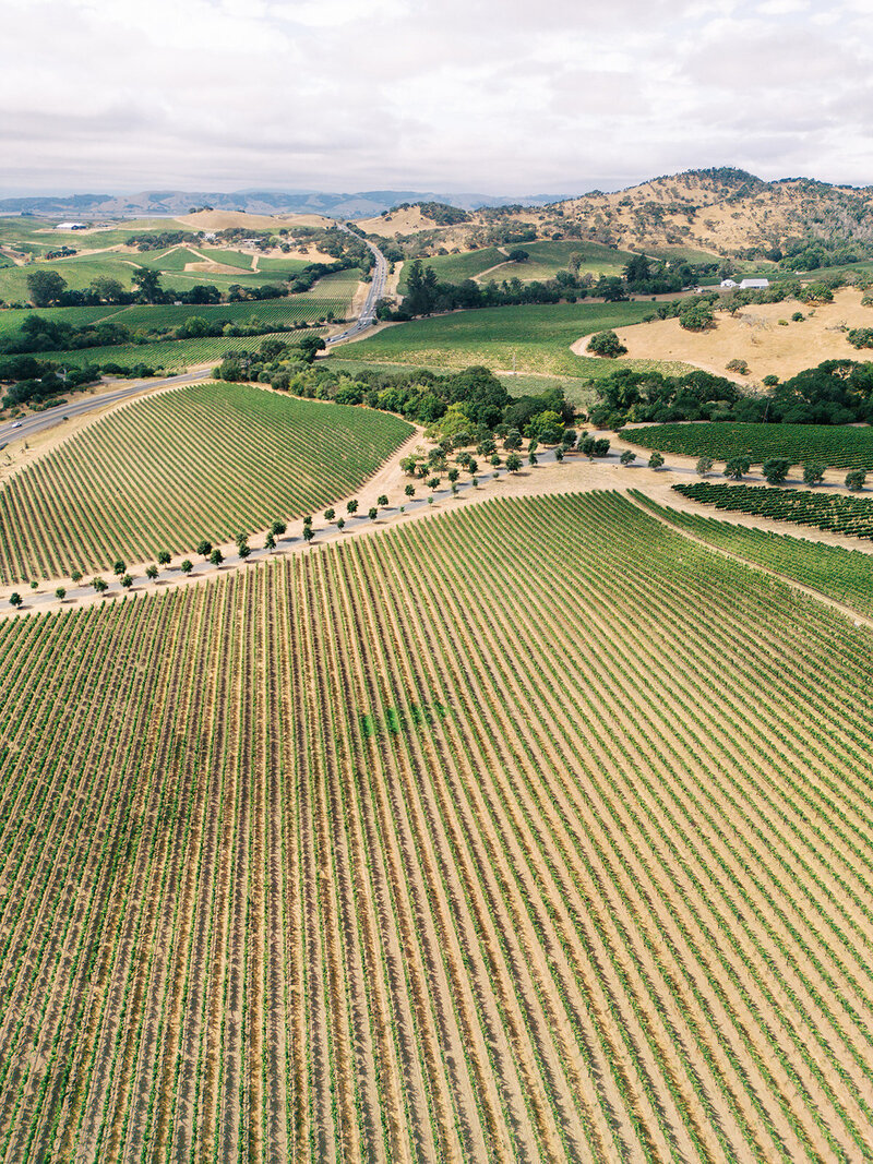 WILLOW-AND-BEN-WEDDING-PHOTOGRAPHER-NAPA-22