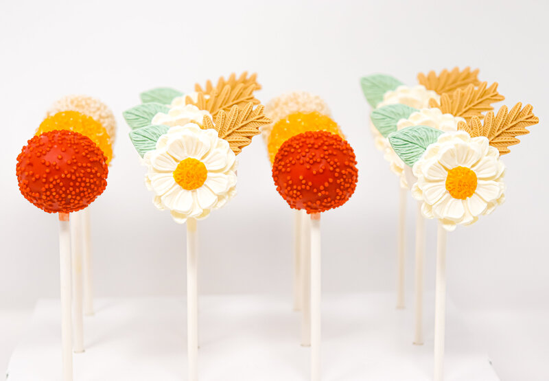 bakery - cakes - cake pops -north dakota -252