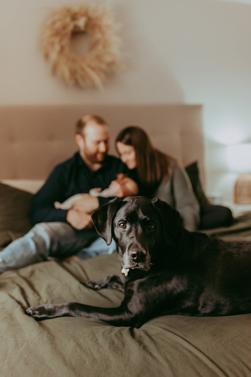couple-holding-baby-with-dog-on-bed
