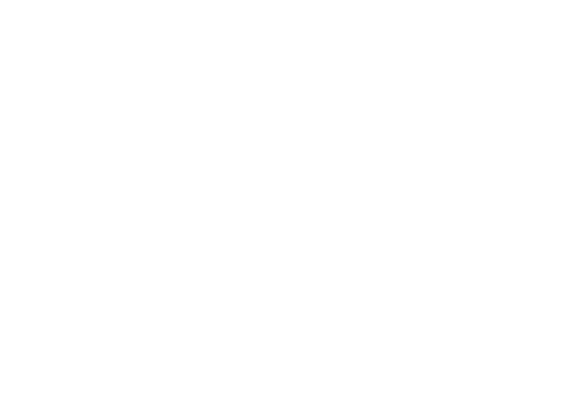ShareTheSoul_Assets_Logo_White
