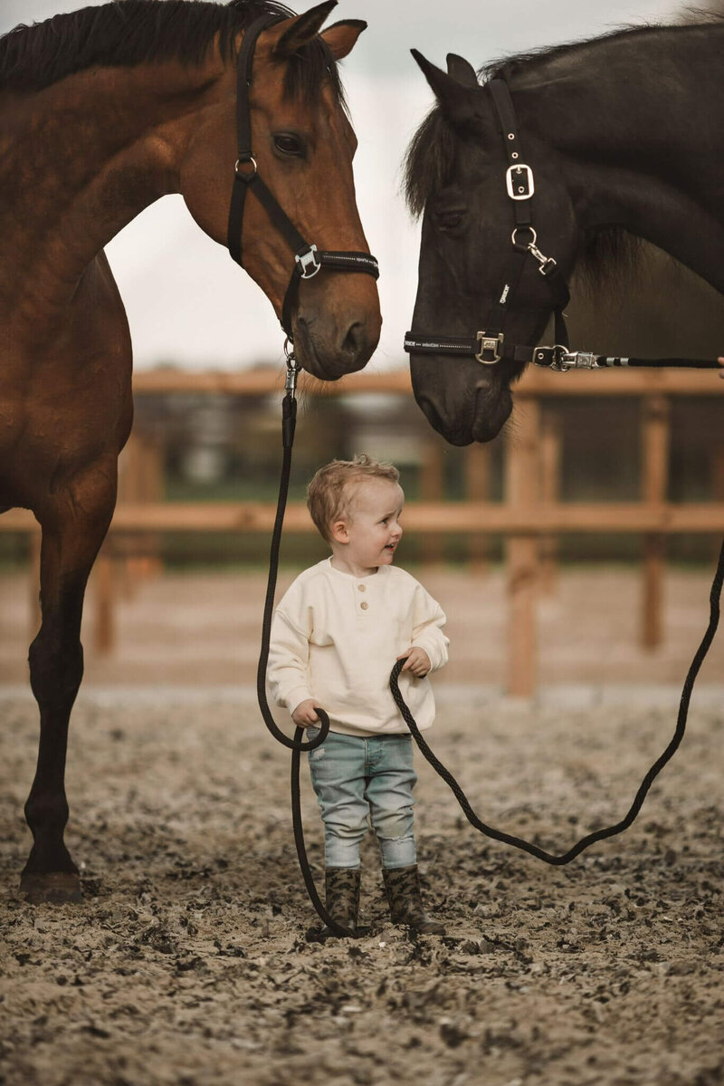 NEI therapie bij Paarden