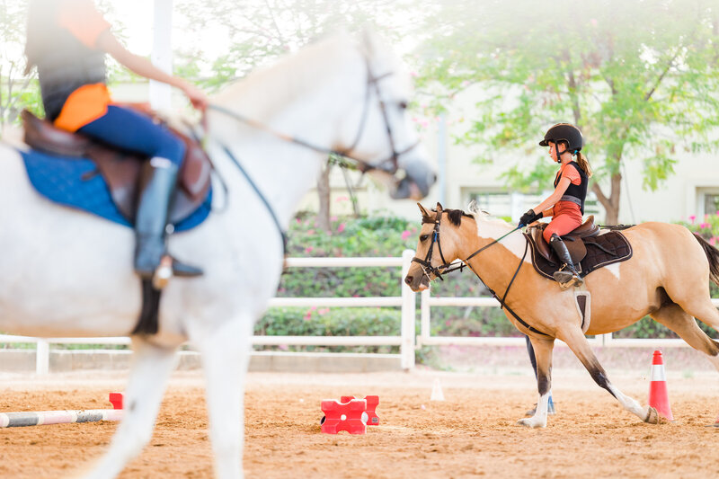 Horse and girl