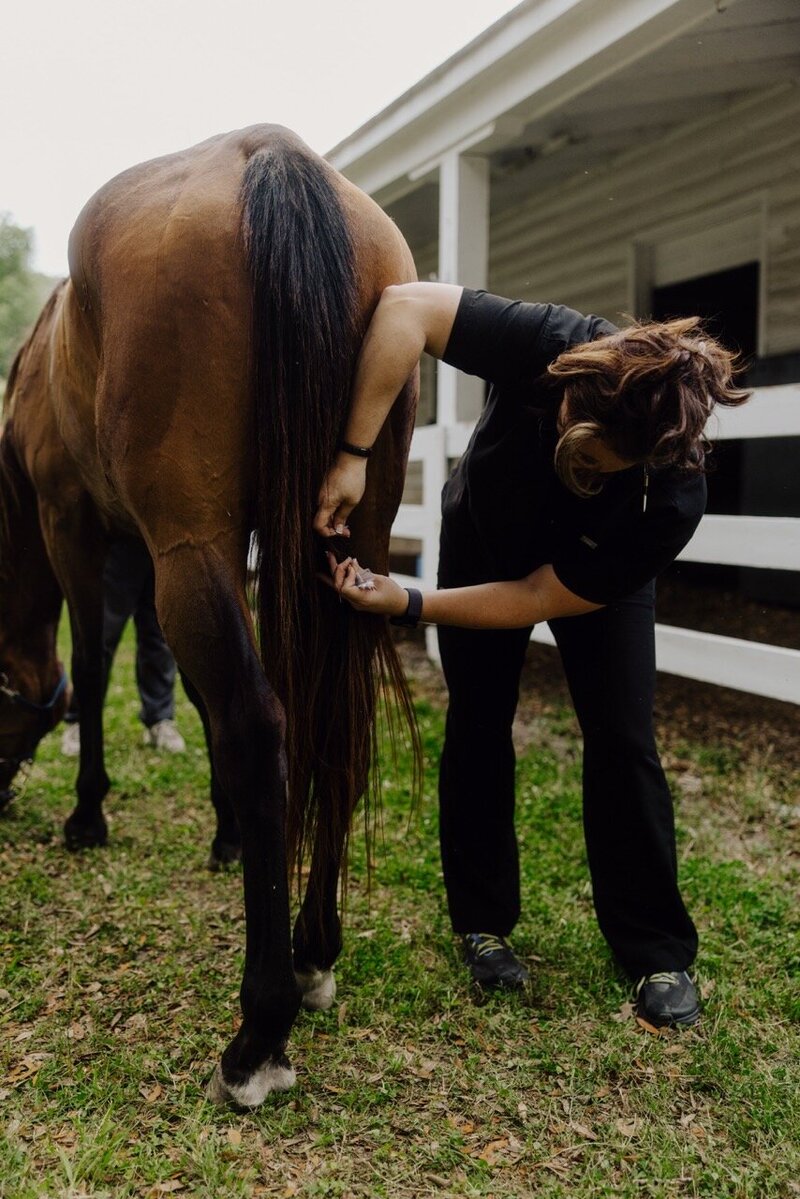 Mobile integrative veterinary care South Carolina Burkett Veterinary Services 