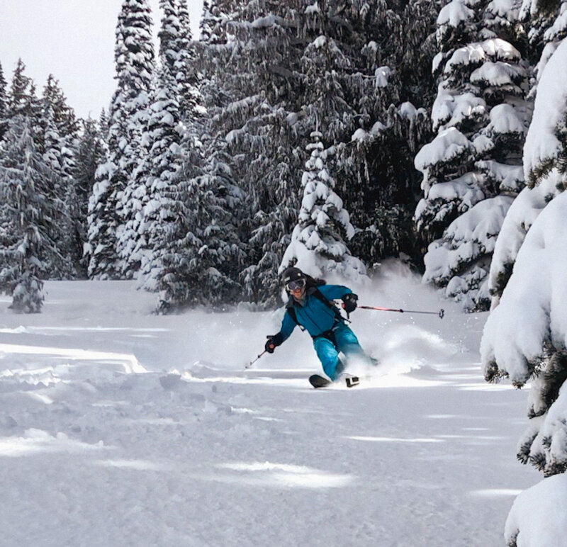 Powder ski day in the olympic mountains